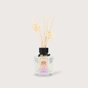 Reed Diffuser 2065 Ujong Bugis Junction