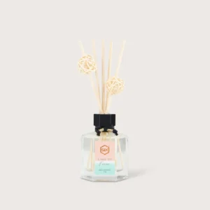 Reed Diffuser Care to Focus Bugis Junction