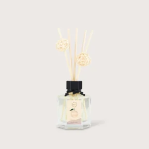 Reed Diffuser Hikaru Bugis Junction